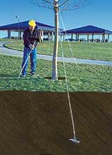 Duckbull Tree Guying System
