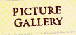 Picture Gallery