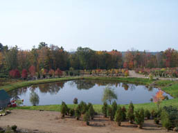 Irrigation Pond